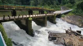 Beautiful River near Munnar | #Munnar