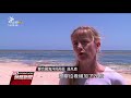 塑膠垃圾錯當水母 海龜誤食死亡頻傳 20171208 公視晚間新聞