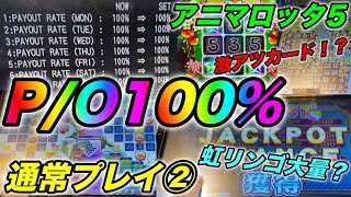 【メダルゲーム】ペイアウト100%のアニマロッタ5で遊んでみた②【アニマロッタ5】