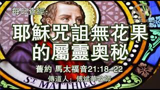 394.《耶稣咒诅无花果的属灵奥秘》新约：马太福音21：18-22传道人：傅斌华牧师