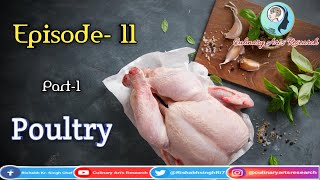 Episode -11 Part-1 Poultry learn with Culinary Art's Research