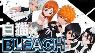 BLEACH コラボガチャを引くぞ!!【白猫プロジェクト】