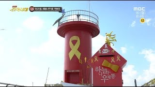 [전국시대]180416(월) 세월호 4주기를 기억하다, 봄맞이 화분 기르기, 동서보감 봄철건강관리, 이색요리조합