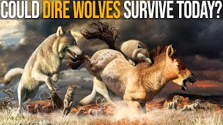 Could Dire Wolves Survive Nowadays?