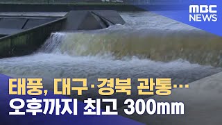 태풍, 대구·경북 관통…오후까지 최고 300mm (2021.08.24/뉴스투데이/MBC)