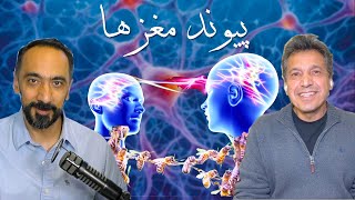 نگاهی تازه به مغز