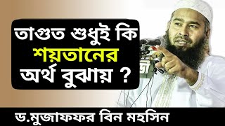 তাগুত শুধুই কি শয়তানের অর্থ বুঝায়?বিস্তারিত জানুন || ড.মুজাফফর বিন মহসিন