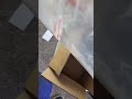 koi unboxing from next day koi 2023 shorts