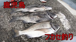 【海釣り】鹿児島で人生2回目のフカセ釣りに挑戦！