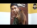 tutorial menjinakkan musang langsung terbukti‼