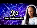 LEO: Your Money & Career Reading for November 2024