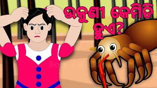 BUDHIA BUDHABAR- 62 | ଉକୁଣୀ କେମିତି ହୁଏ | What Causes Head Lice? | BOU RA GAPAPEDI | odia Fact