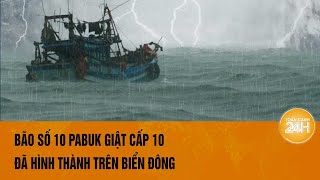 Bão số 10 đã hình thành, \