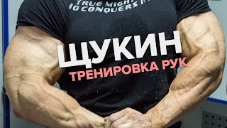 Тренировка рук. Щукин Александр