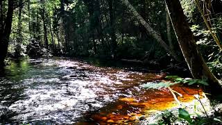 Relax/Sleep [2h05min] kosken solinaa, veden virtausta, luontoääntä 🌲💦River, Rapids, Nature, Forest