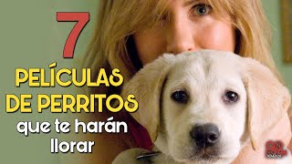 7 peliculas de perros que te haran llorar