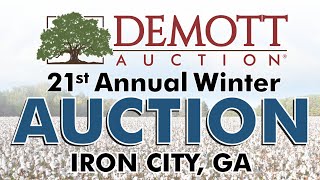 21st Annual Winter Auction - Birds Eye View