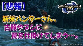 【モンハンライズ】新米ハンターさん、古龍やヌシに罠を仕掛けてしまう…【みんなの反応まとめ】【MHRise】