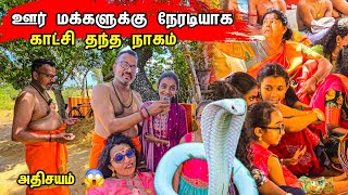 🔴 சற்றுமுன் பொய் என நினைத்ததை உண்மை ஆக்கிய நாகம் / Oh My God / Tamil bros