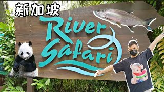 【 UncleJi生活开箱 】 新加坡River Safari真的那么好玩?!🐠| Rivesr Safari Tour #singapore #riversafari