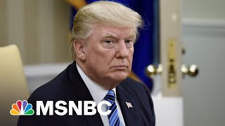 Trumps Surprisingly Uninsulated From Sketchy Accounting, Court Documents Suggest