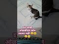 इथे आम्ही ओळखिच्या लोकांचे कॉल नाही उचलत.😛😃😜😅. funny comedy cat video tappu...