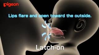 3D computer graphic of latch-on(English)2016.8ver