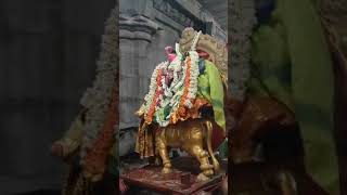 காஞ்சிபுரம் ஸ்ரீ ஸ்ரீ ஸ்ரீ ஏகாம்பரநாதர் சுவாமி கோவிலில் புதன் வார பிரதோஷ பூஜை தரிசனம் (03/07/24)