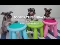 Funny SYNCHRONIZED TRIPLE Dog Tricks: Say your Prayer!!