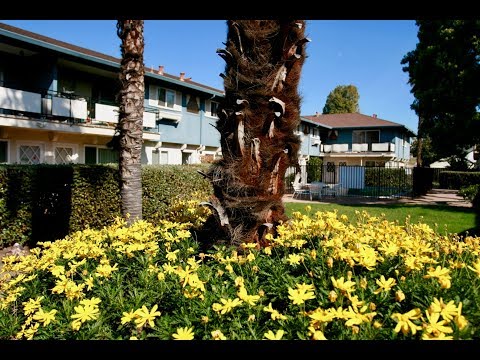 Sunnyvale Apartment For Rent - 2 Bed 1 Bath - by Property Management in Sunnyvale CA Sunnyvale Apartment For Rent - 2 Bed 1 Bath - by Property Management in Sunnyvale CA