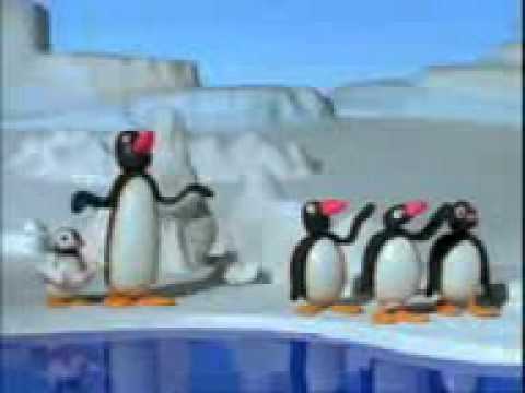 Pinguin Lucu Youtube