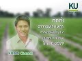 ถั่วลิสง พันธุ์เกษตรศาสตร์โก๋แก่ 40