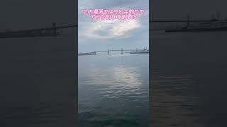 【釣り場紹介】福島県いわき市にある小名浜港#shorts #小名浜港 #釣り#アジ #サビキ釣り