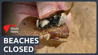 Nine beaches closed as mystery balls wash up again in Sydney