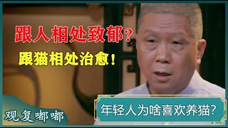 为什么养猫的人变多了？人会掩盖自己的真实情绪，沟通起来太复杂了！但是猫不会！#马未都