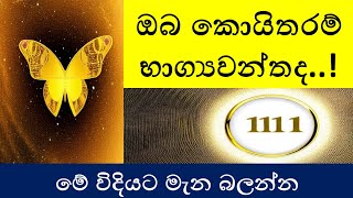 ඔබ කොයිතරම් භාග්‍යවන්තද .. මේ විදියට මැන බලන්න