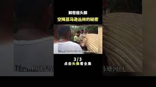 解密座头鲸，空降亚马逊丛林的秘密 Part3/3 #shorts #座头鲸 #动物科普