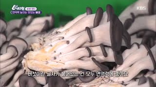 [내고향 상생 장터, 합께 삽시다] 면역력 높이는 맛있는 버섯 [6시 내고향] 20200407