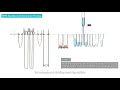 allsheng leap pure series nucleic acid purification system