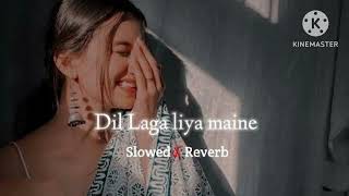 Dil Laga Liya maine | Slowed + Reverb | Alka Yagnik & Udit Narayan | Lofi's World