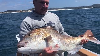 Massive 15kg Snapper caught on a lure