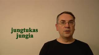 LITHUANIAN LESSON 83 - JUNGTUKAI - Conjunctions