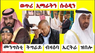 ጌታቸው ረዳ ብዛዕባ ኲናት ሱዕድ ዓረብን ኢማራትን ዝበሎ | Yikealo Tv