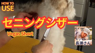 セニングシザーVegas Shortの使い方　 トリマー長瀬健一さん