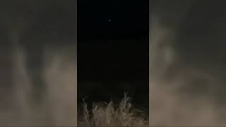 Real Or Fake [UFO spotted over Honolulu]