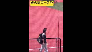 #阪神 伊藤将司 投手 #村上頌樹 投手が #hanshin