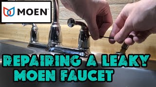 HOW TO FIX A FAUCET DRIPPING - MOEN. EASY!