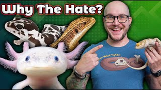 TOP 5 MOST HATED REPTILES! Why You Should Give These Reptiles WAY More Love!