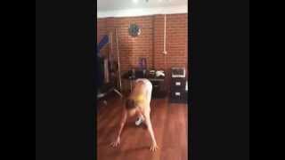 Chic Shed - Burpees