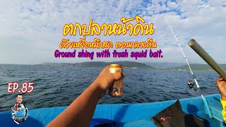 ตกปลาหน้าดิน ด้วยเหยื่อหมึกสด  Ground fishing with fresh squid bait. l อ้วนพรางทะเลบูรพา EP.85